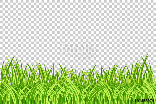 Grass Border Vector Illustration Realistic Isolated Green Grass 500x334 Grass Border Vector Illustration Realistic Isolated Green Grass