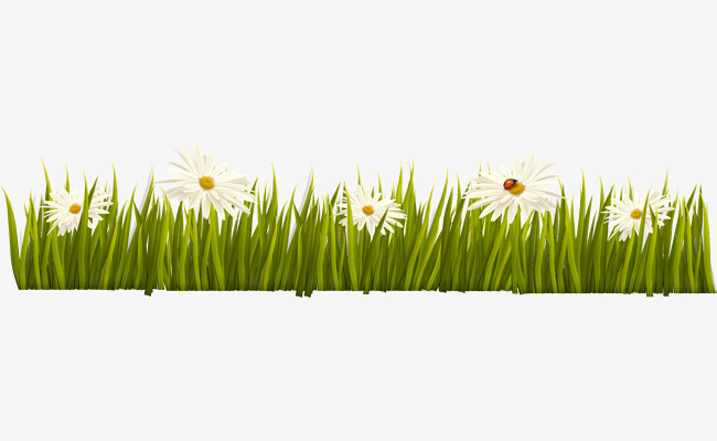 Grass And Flowers Border Vector Green Grass Border Texture Grass 650x400 Grass And Flowers Border Vector Green Grass Border Texture Grass