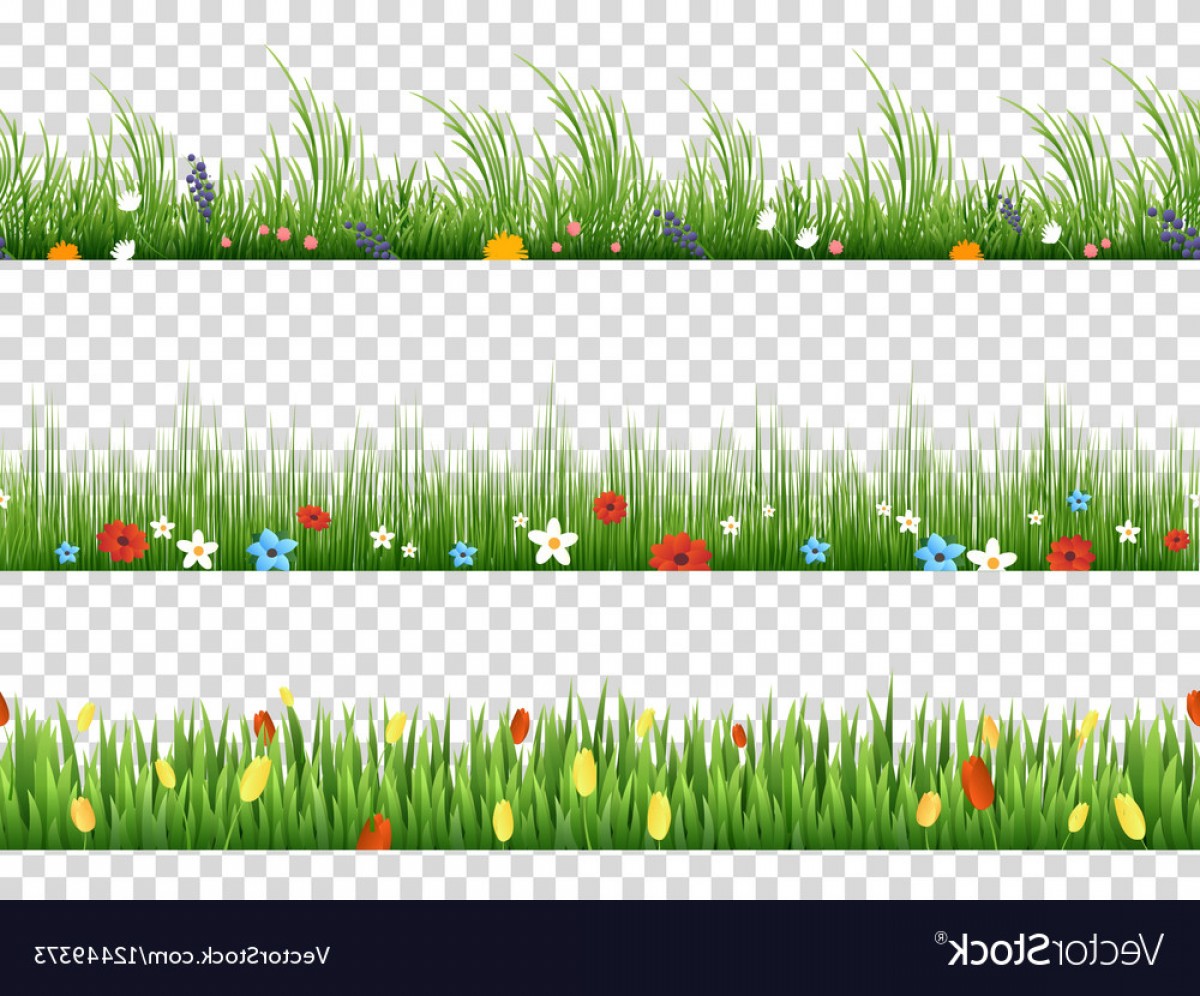 Green Grass And Spring Flowers Nature Border Vector Hoodamathrun 1200x996 Green Grass And Spring Flowers Nature Border Vector Hoodamathrun