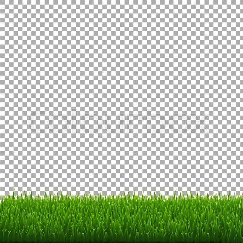Green Grass Border, Vector Stock Vector Colourbox 800x799 Green Grass Border, Vector Stock Vector Colourbox