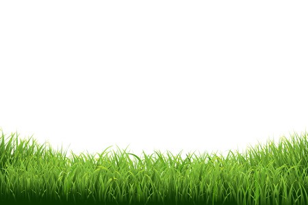 Green Grass Border, Vector Illustration Royalty Free Vector Graphics 450x300 Green Grass Border, Vector Illustration Royalty Free Vector Graphics