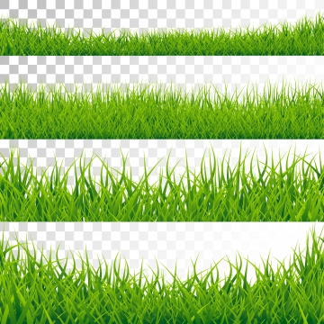Green Grass Border Png Images Vector And Free 360x360 Green Grass Border Png Images Vector And Free
