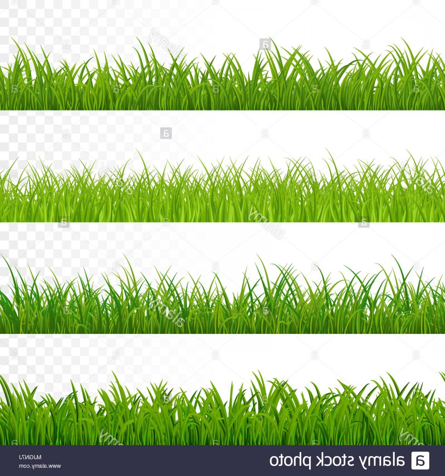 Seamless Gorisontal Grass Border Green Grass Pattern Grass Texture 1560x1668 Seamless Gorisontal Grass Border Green Grass Pattern Grass Texture
