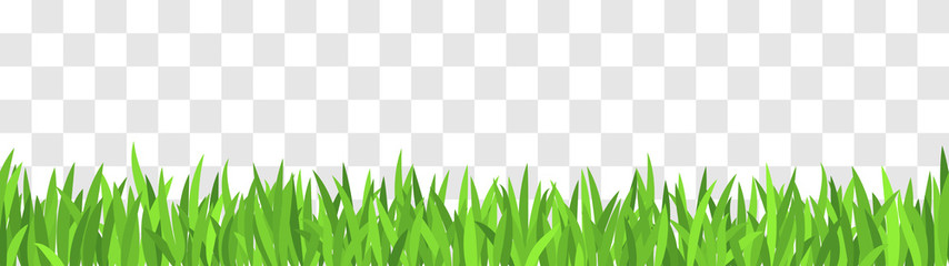 Spring Grass Border Vector Illustration Green Grass Pattern 854x240 Spring Grass Border Vector Illustration Green Grass Pattern