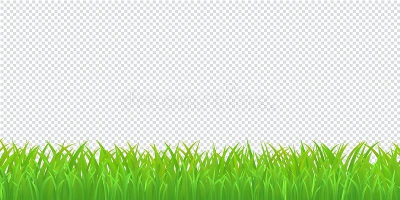Grass Border Vector 800x400 Grass Border Vector