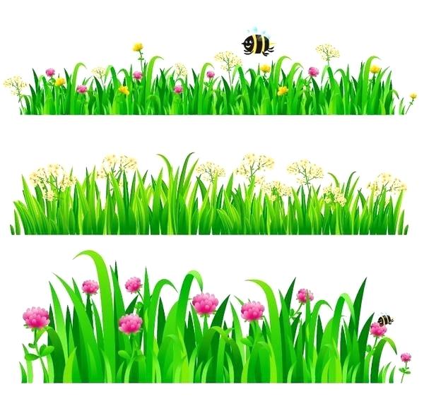 Grass Border Flower With Grass Border Vector Grass Border Ideas 600x592 Grass Border Flower With Grass Border Vector Grass Border Ideas
