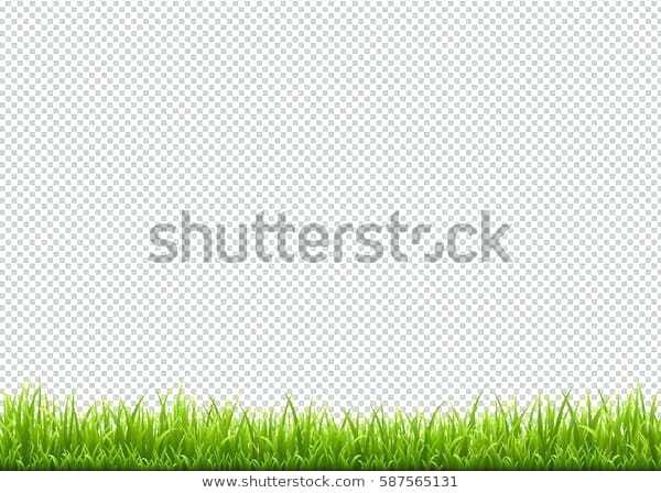 Grass Border Grass Border Vectors Illustration Low Grass Border 600x448 Grass Border Grass Border Vectors Illustration Low Grass Border