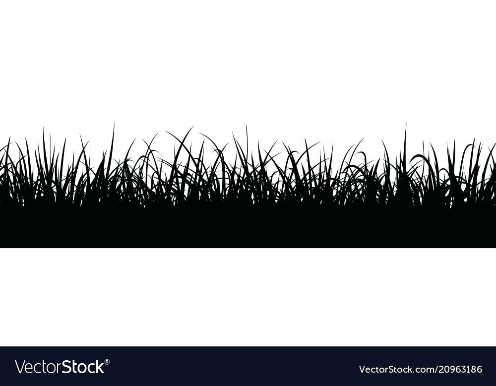 Grass Border Green Clipart Lawn Edge Edging Smartedge With Flower 1000x780 Grass Border Green Clipart Lawn Edge Edging Smartedge With Flower