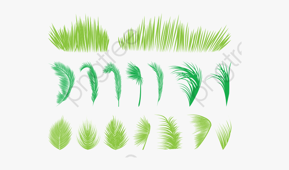 920x542 Grass Clipart Vector