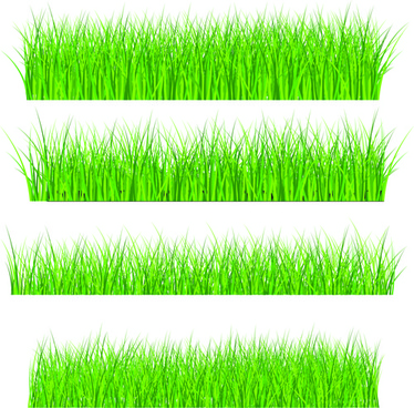 374x368 Grass Free Vector Download