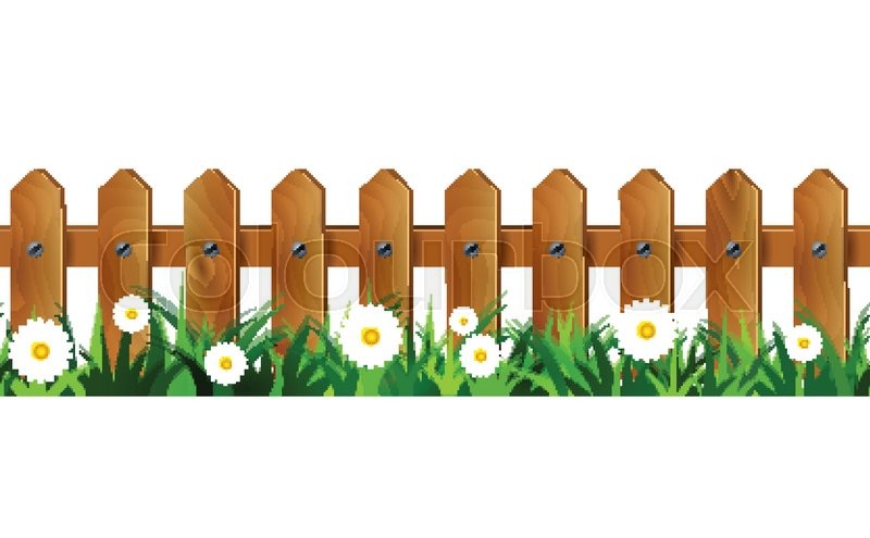 800x495 Green Grass And Wooden Fence Stock Vector Colourbox