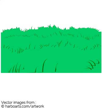 335x355 Download Vector Drawing Of Grass