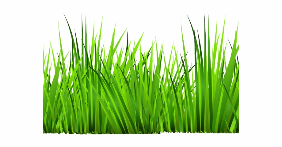 920x480 Dry Grass Clipart Prairie Grass