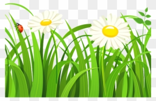 320x208 Free Grass Clipart