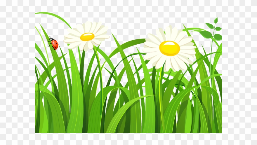 880x497 Free Grass Clipart