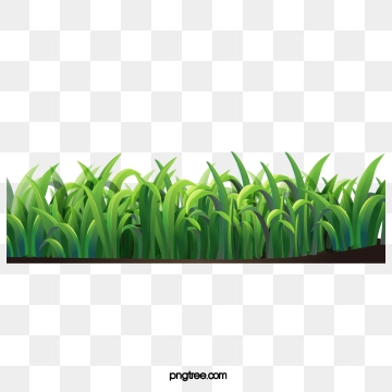 Grass Png, Vector, And Clipart With Transparent Background 360x360 Grass Png, Vector, And Clipart With Transparent Background