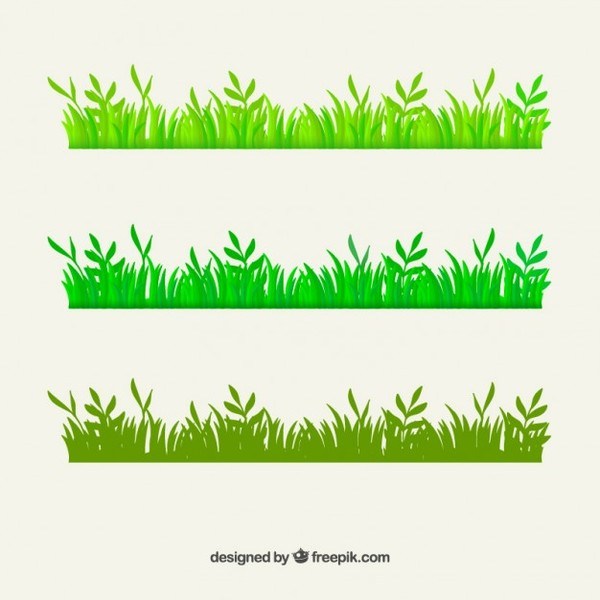 Green Grass Vector 600x600 Green Grass Vector