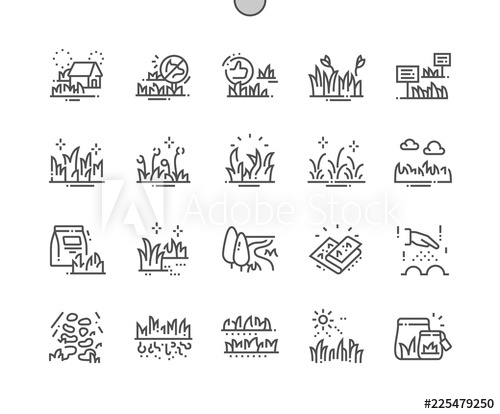 Types Garden Grass Well Crafted Pixel Perfect Vector Thin Line 500x414 Types Garden Grass Well Crafted Pixel Perfect Vector Thin Line