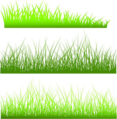 Vector Green Grass Elements Set Free Vector In Encapsulated 481x489 Vector Green Grass Elements Set Free Vector In Encapsulated