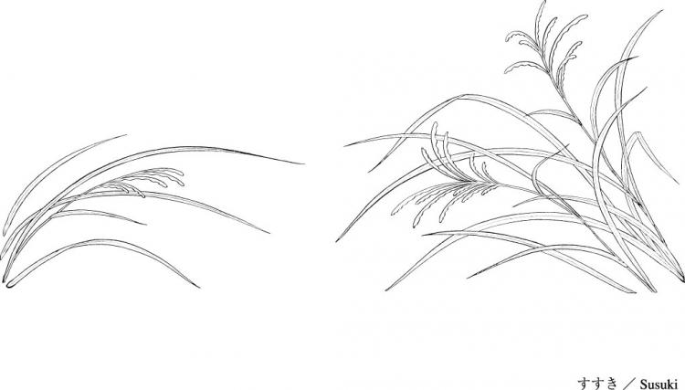 Line Drawing Of Flowers 750x427 Line Drawing Of Flowers