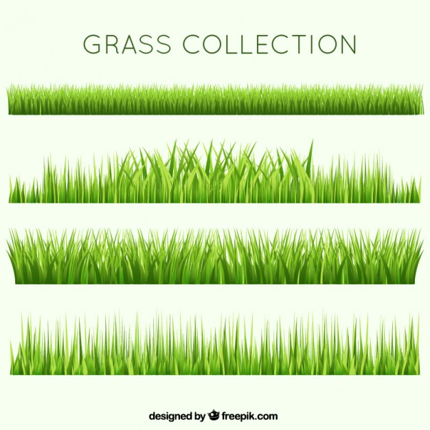 Different Garden Grass Collection Vector Free Download 626x626 Different Garden Grass Collection Vector Free Download