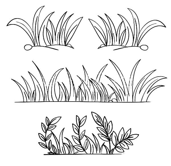 Grass, Grass Grow So Well Coloring Pages Paint In Grass 600x585 Grass, Grass Grow So Well Coloring Pages Paint In Grass