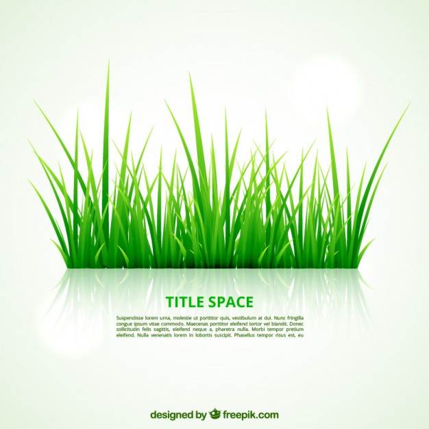 626x626 Green Grass Template Vector Free Download
