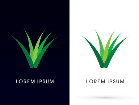 450x338 Herb, Grass, Aloe Vera Plantlogo, Symbol, Icon, Graphic