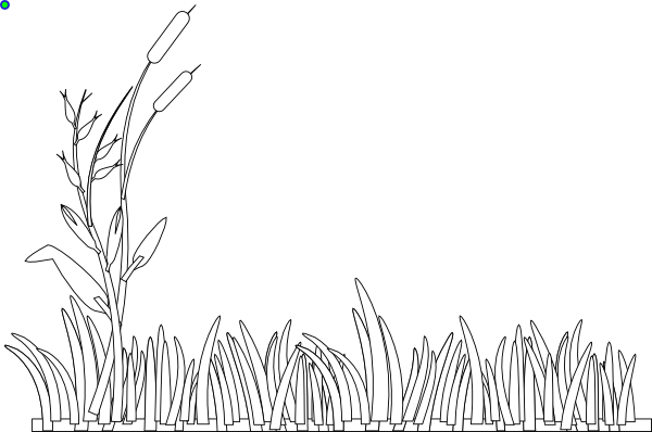 600x398 Grass Outline Clip Art