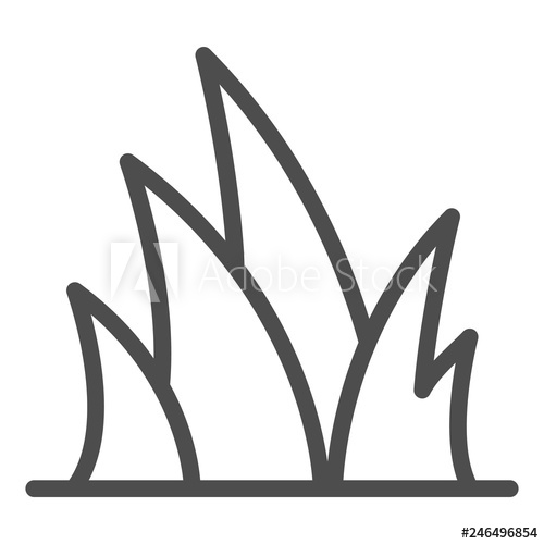 500x500 Grass Line Icon Plant Vector Illustration Isolated On White