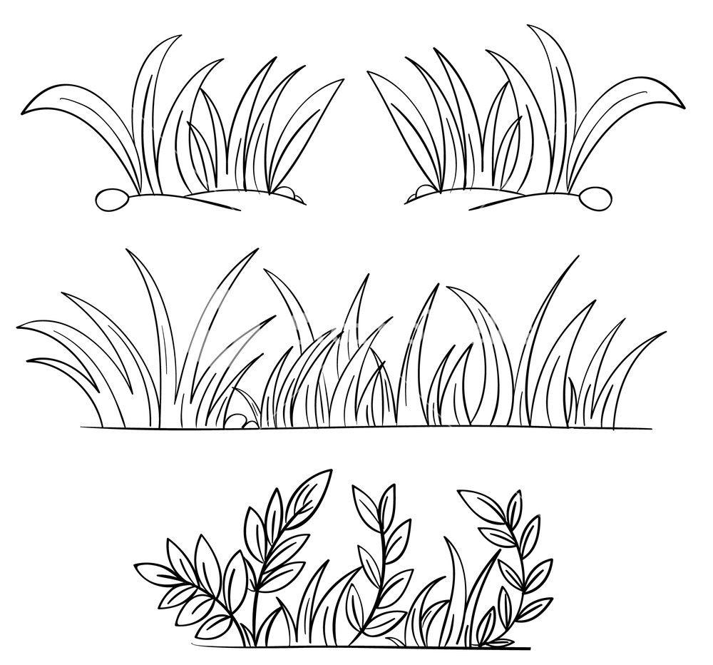 1000x932 Illustration Of Grass And Plant Outlines Photography And Art