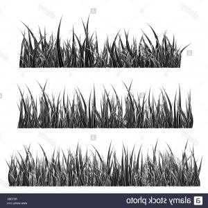 300x300 Photostock Vector Grass Black Linear And Silhouette Icons Thin