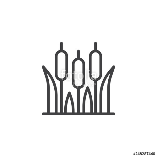 500x500 Reeds Plant Line Icon Linear Style Sign For Mobile Concept