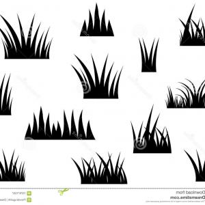 300x300 Set Of Black Grass Silhouette Vector Cqrecords