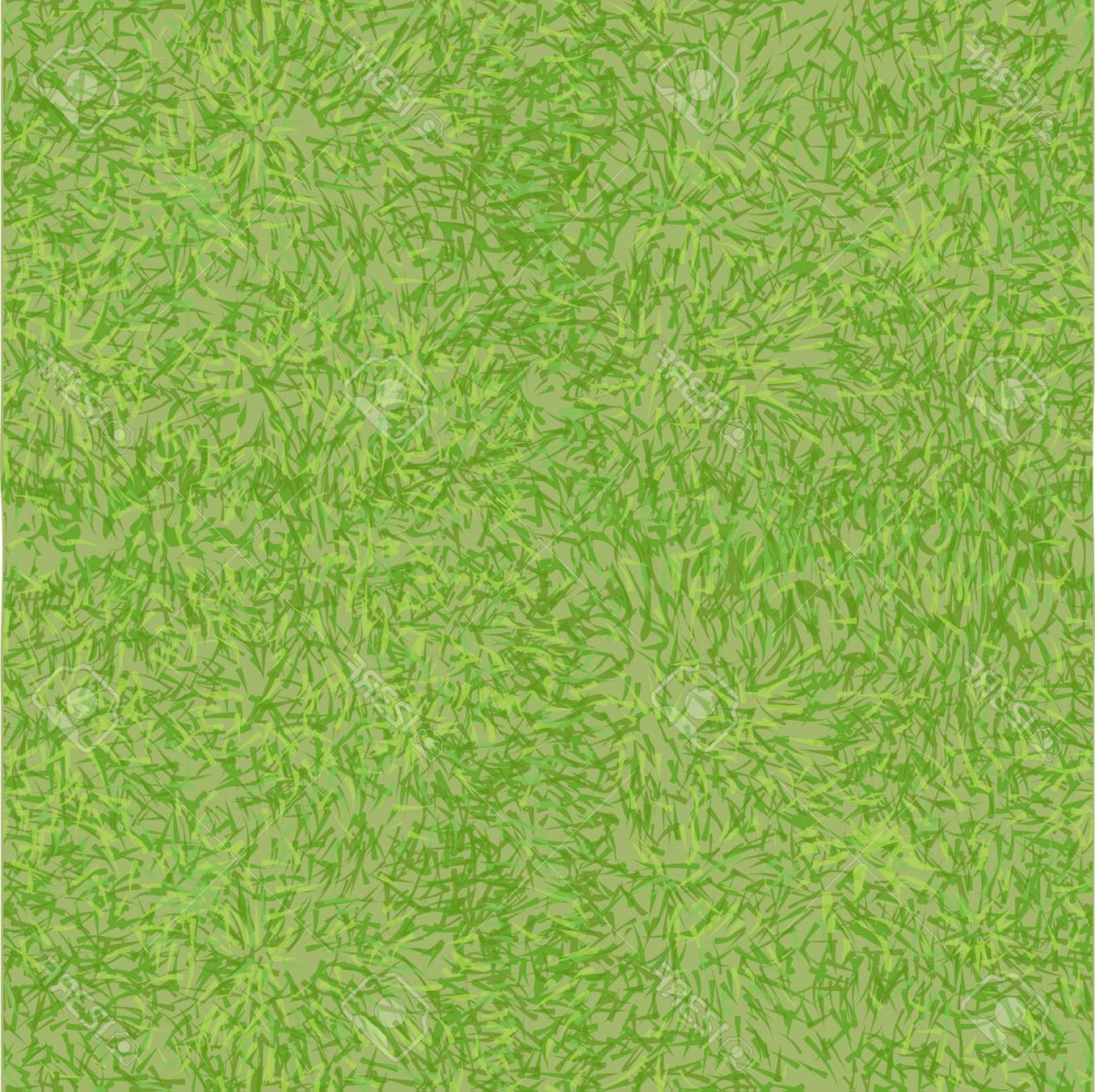 1560x1556 Grass Texture Vector Cqrecords