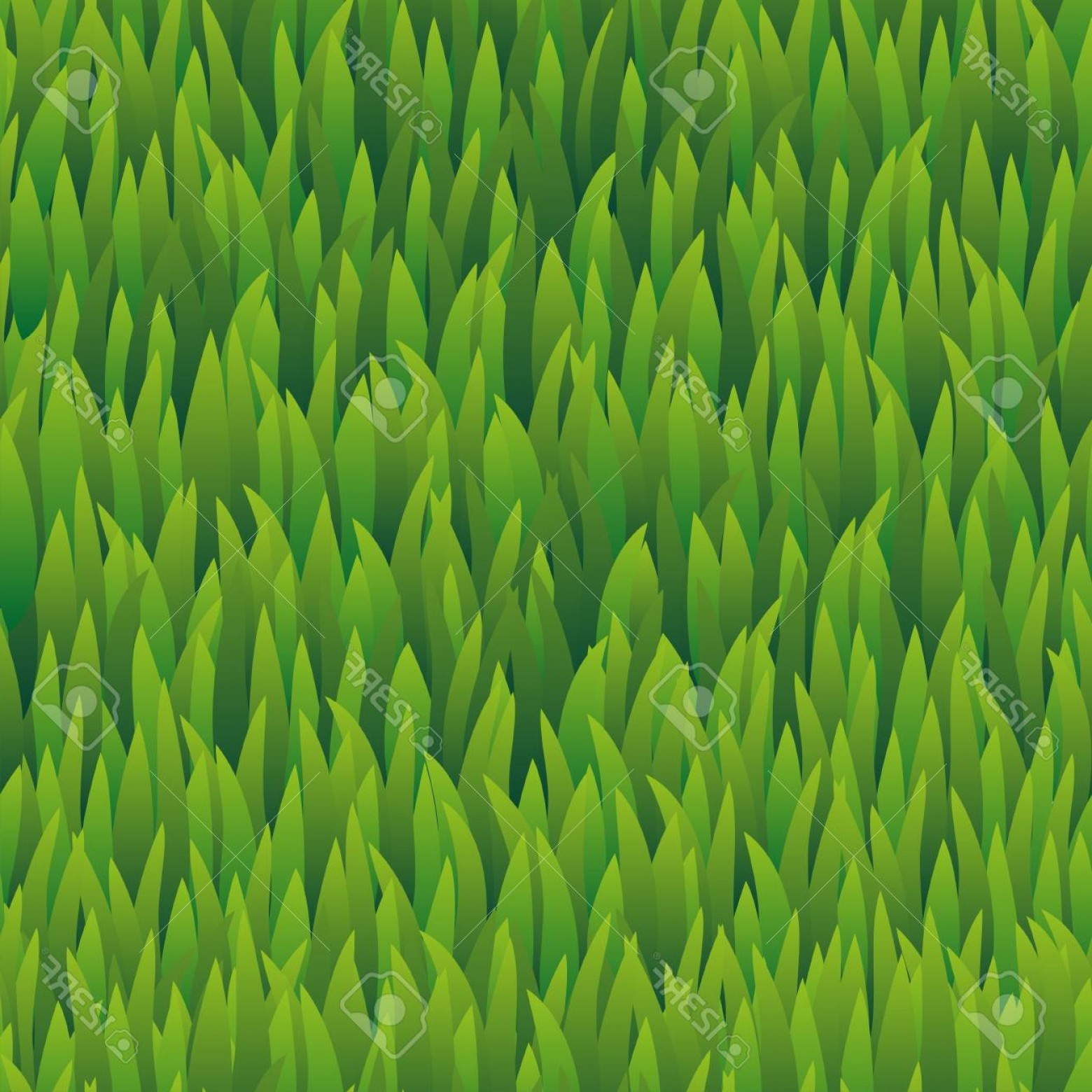 1560x1560 Grass Vector Wallpaper Hoodamath