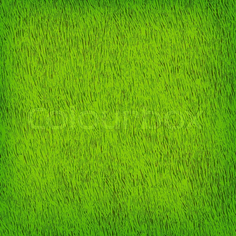 800x800 Green Grass Texture Vector Background Stock Vector Colourbox