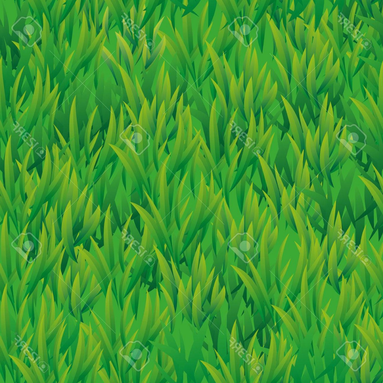 1560x1560 Photostock Vector Summer Green Grass Texture Summer Pattern