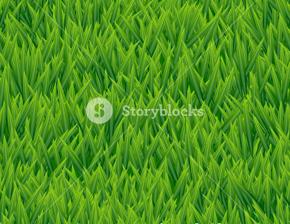 1000x771 Fresh Grass Seamless Vector Pattern Royalty Free Stock Image