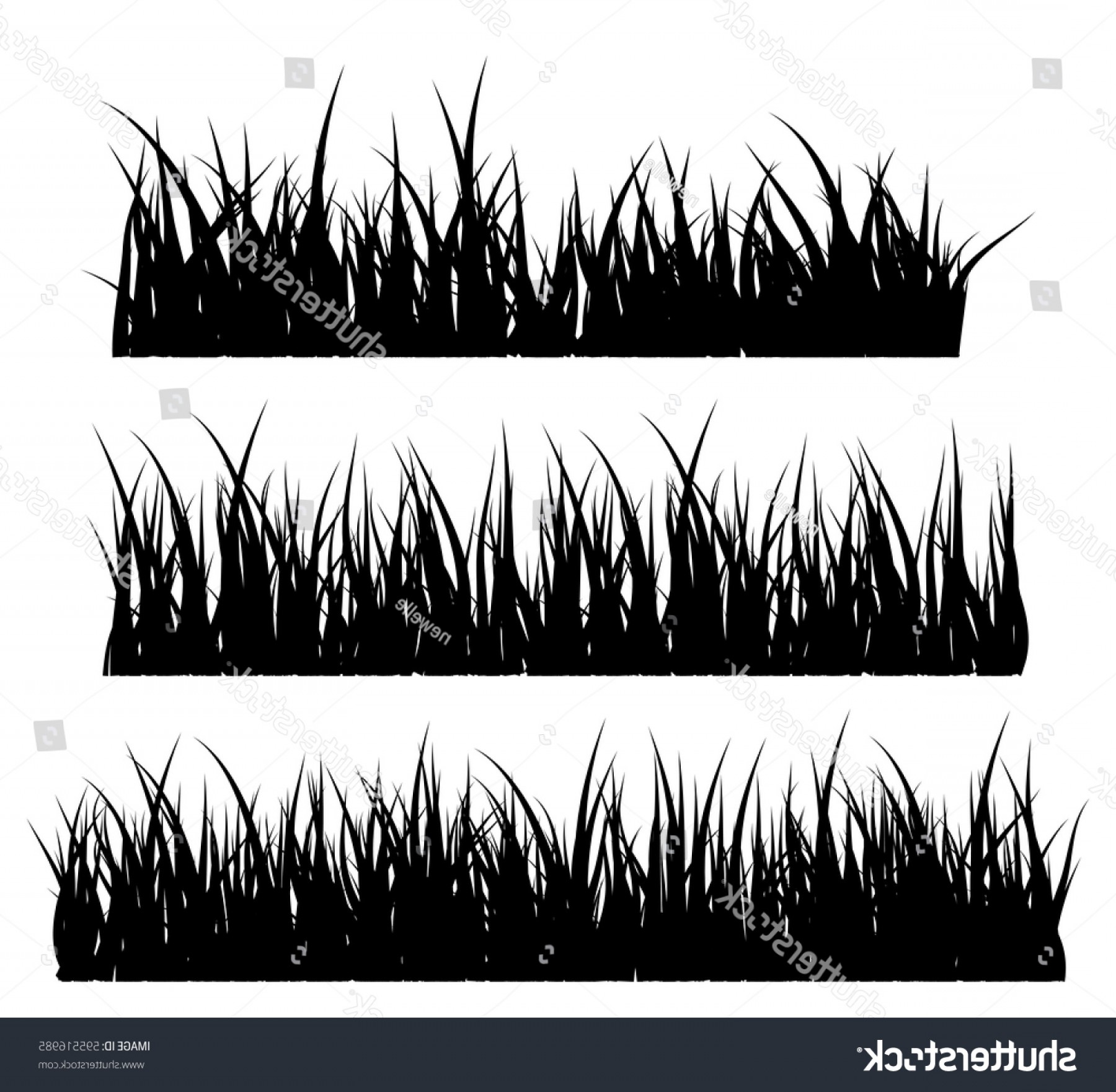 1800x1761 Grass Silhouette Vector Symbol Icon Design Soidergi