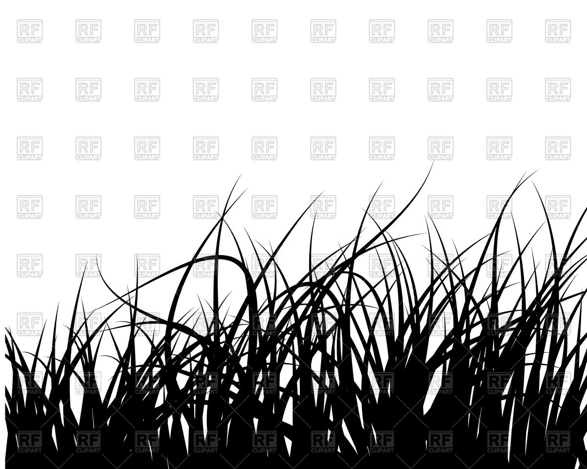 1200x960 Grass Silhouette Vector Image Of Plants And Animals Angelp