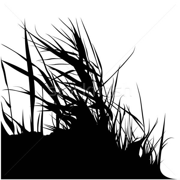 600x600 Bunch Grass Silhouette Vector Illustration Roman Dekan