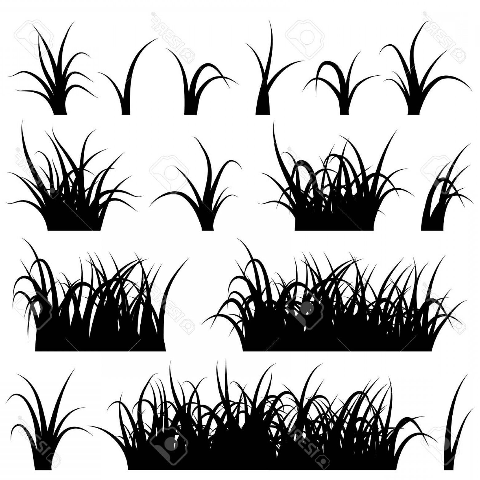 1560x1560 Photostock Vector Grass Silhouette Set Isolated On White
