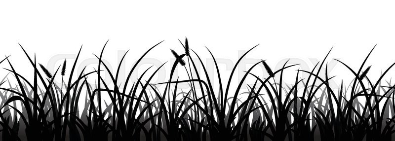 800x286 Seamless Grass Silhouette On White, Stock Vector Colourbox