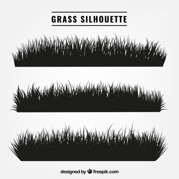626x626 Selection Of Three Grass Silhouettes Vector Free Download