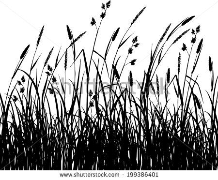 450x372 Vector Flora Grass Silhouette Free Vector For Free Download