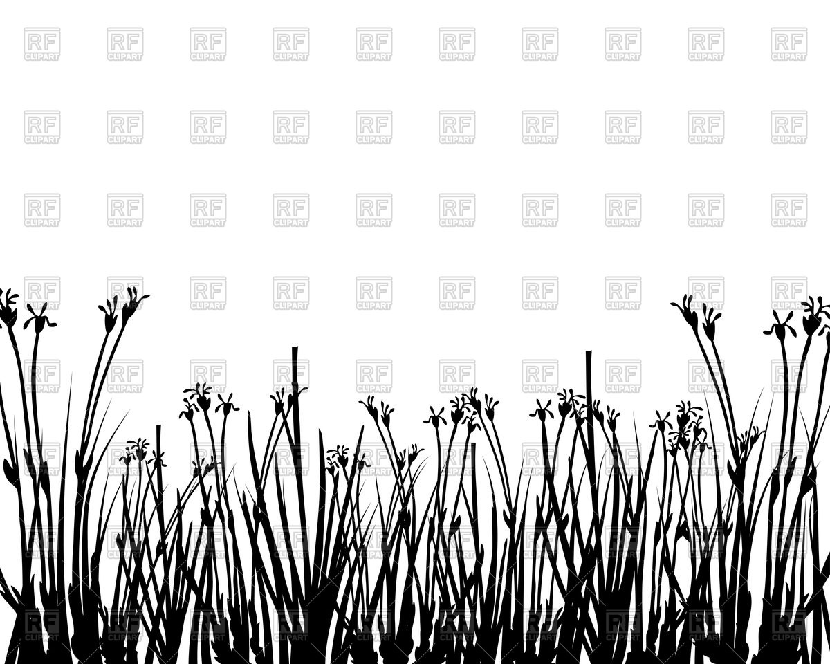 1200x960 Wild Grass Silhouette Vector Image Of Plants And Animals Angelp