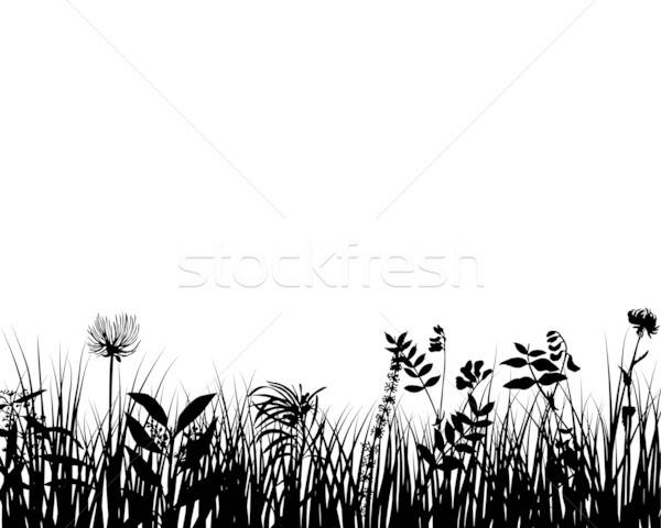600x480 Grass Silhouette Vector Illustration Pavel Konovalov