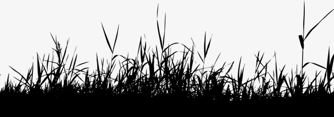 650x229 Grass Silhouette Png
