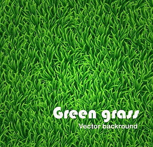 310x299 Grass Texture Seamless Free Graphics Uihere